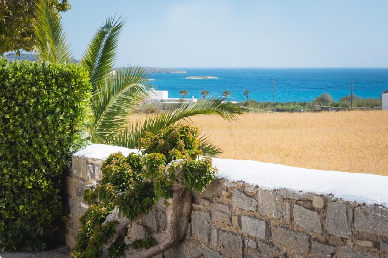 Navi A2 Brand New In Naousa (Paros)